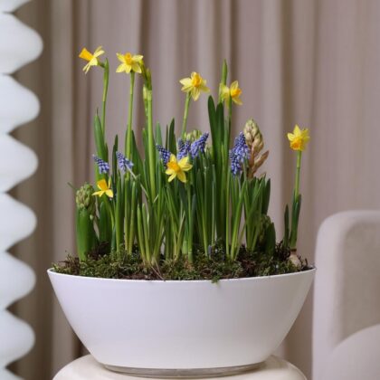 Цветочная композиция "лодочка с первоцветами"