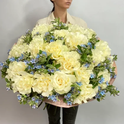 Роза, Оксипеталум, цвет белый, 25 шт