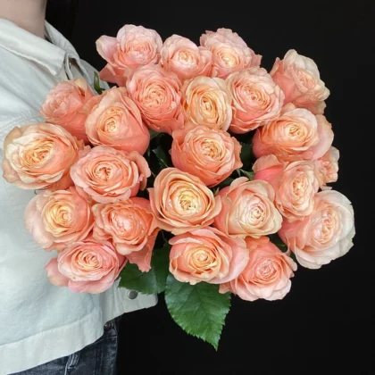 Роза, Пионовидная роза, цвет розовый, 25 шт