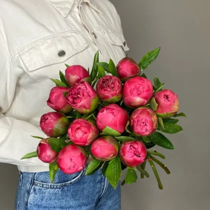 Пион, цвет малиновый, 15 шт