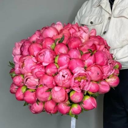Пион, цвет розовый, 51 шт