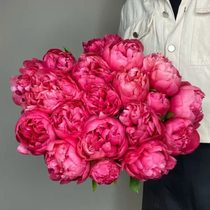 Пион, цвет розовый, 19 шт