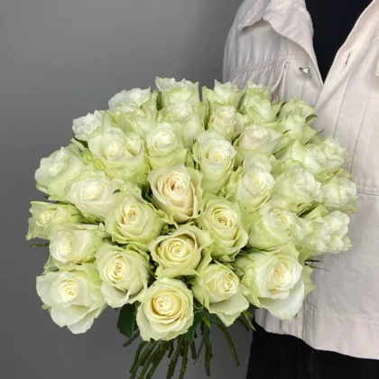 Роза, цвет белый, 35 шт