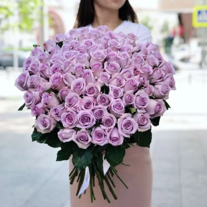 101 пурпурная роза Purple