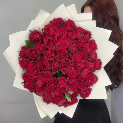 Роза, цвет бордовый, 51 шт