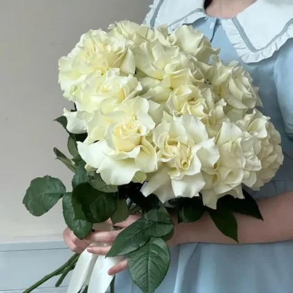 Роза, Пионовидная роза, цвет белый, 11 шт